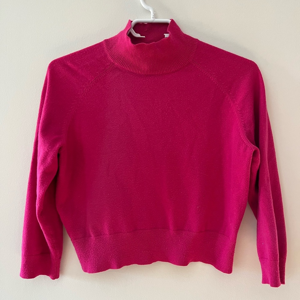 BCBG generation turtle neck